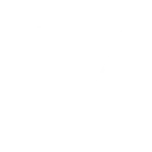 Vector-Srl